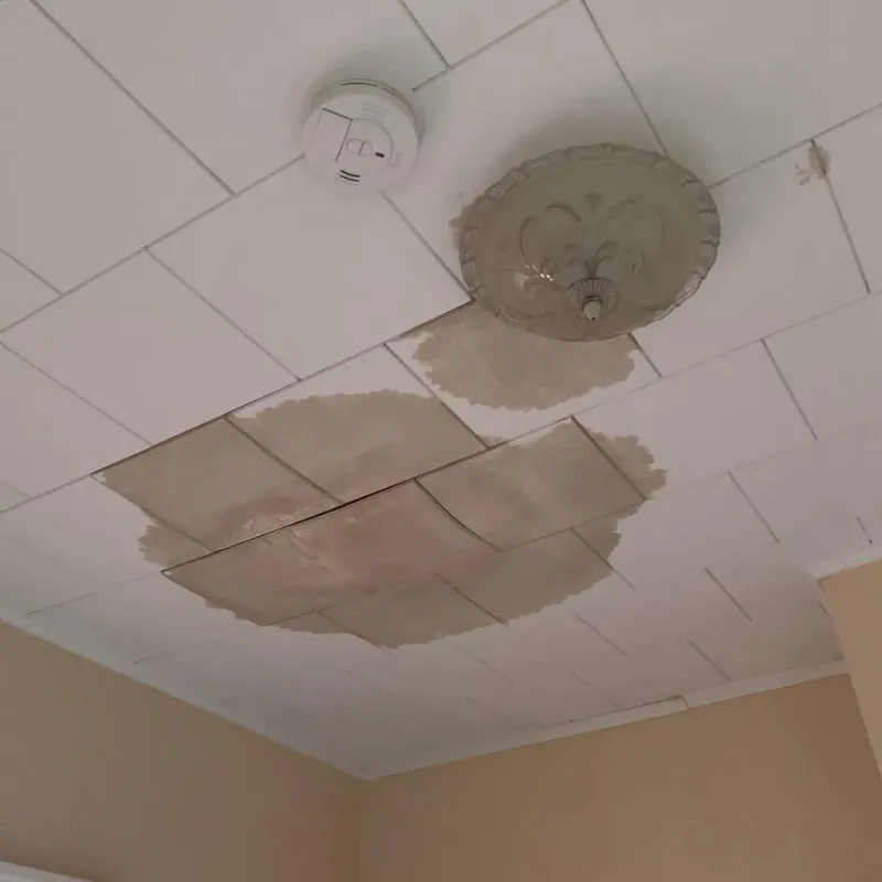 Ceiling Water Damage Repair in Lowndes County, AL